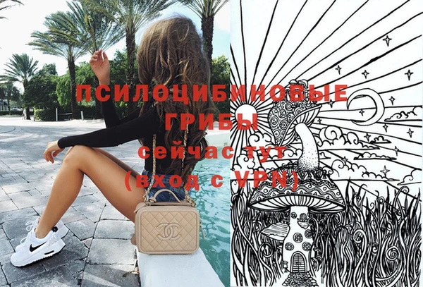 дурь Наволоки