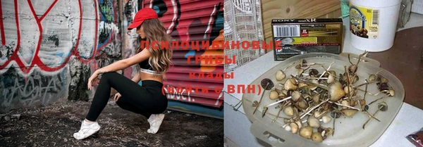 дурь Наволоки
